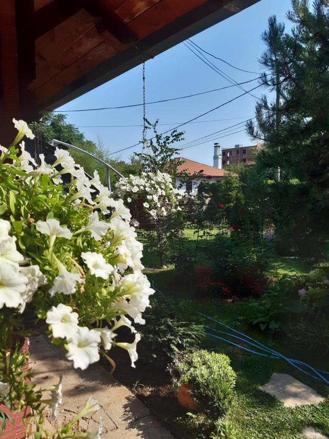 Natura Apartment Belgrad Exterior foto