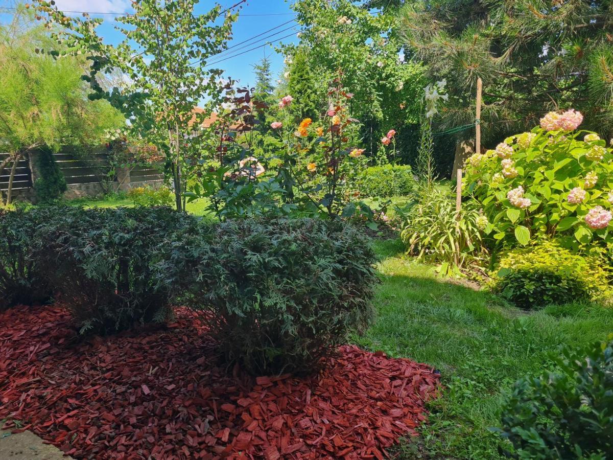 Natura Apartment Belgrad Exterior foto