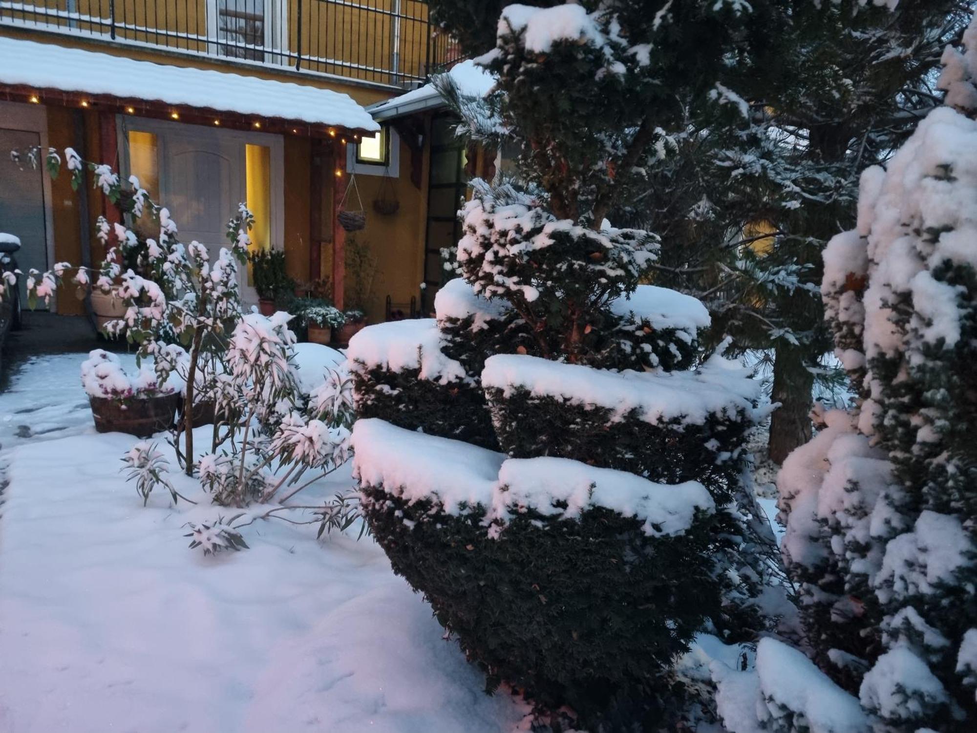 Natura Apartment Belgrad Exterior foto