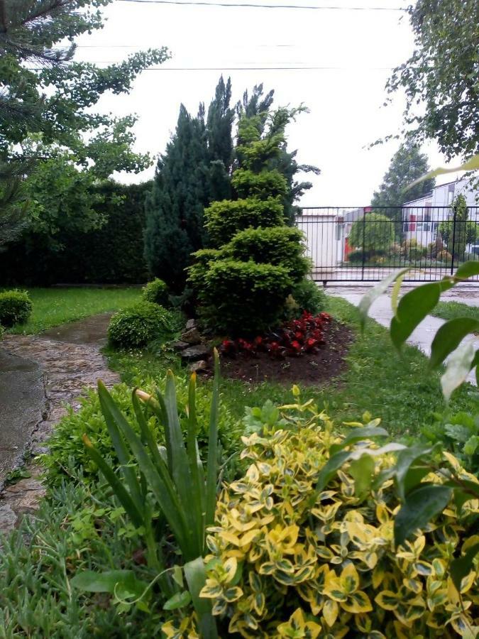 Natura Apartment Belgrad Exterior foto